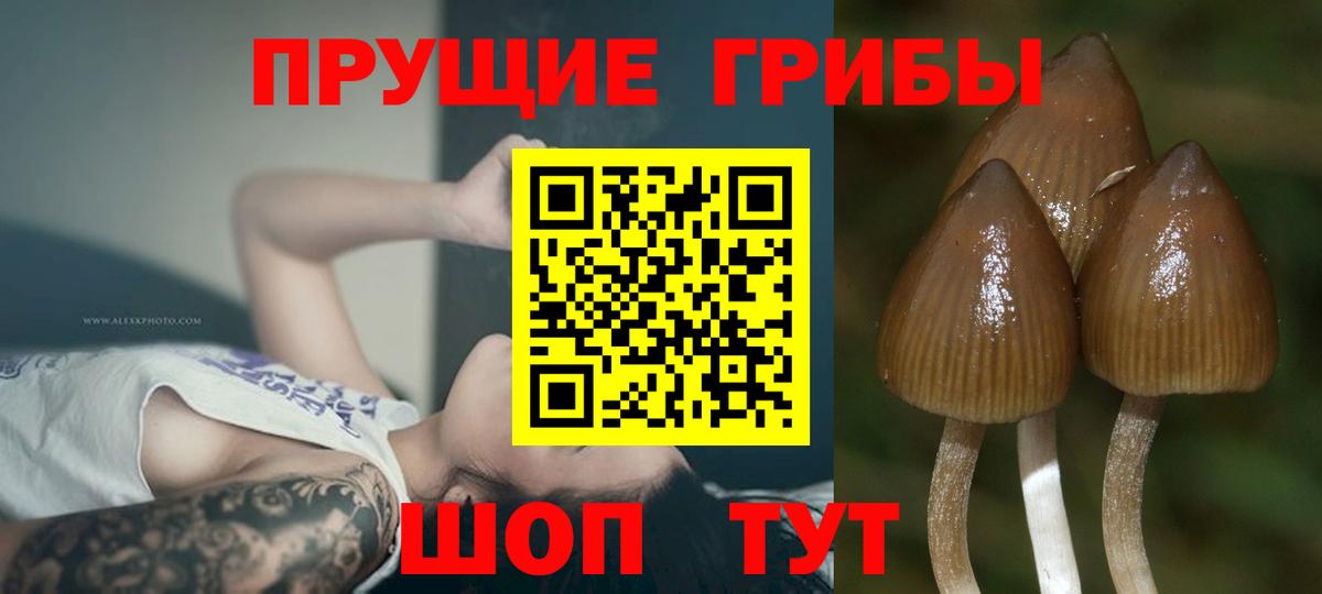 Псилоцибиновые грибы Magic Shrooms Химки